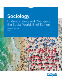 Cover of Sociology: Understanding and Changing the Social World, Brief Edition v2.0