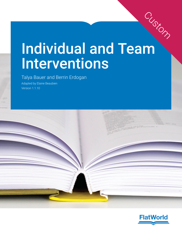 Cover of Individual and Team Interventions v1.1.10