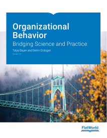 Cover of Organizational Behavior: Bridging Science and Practice v3.0