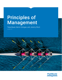 Cover of Principles of Management v4.0