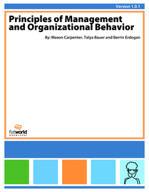 Cover of Principles of Management and Organizational Behavior v1.0.1