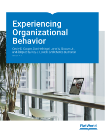 Cover of Experiencing Organizational Behavior v14.0