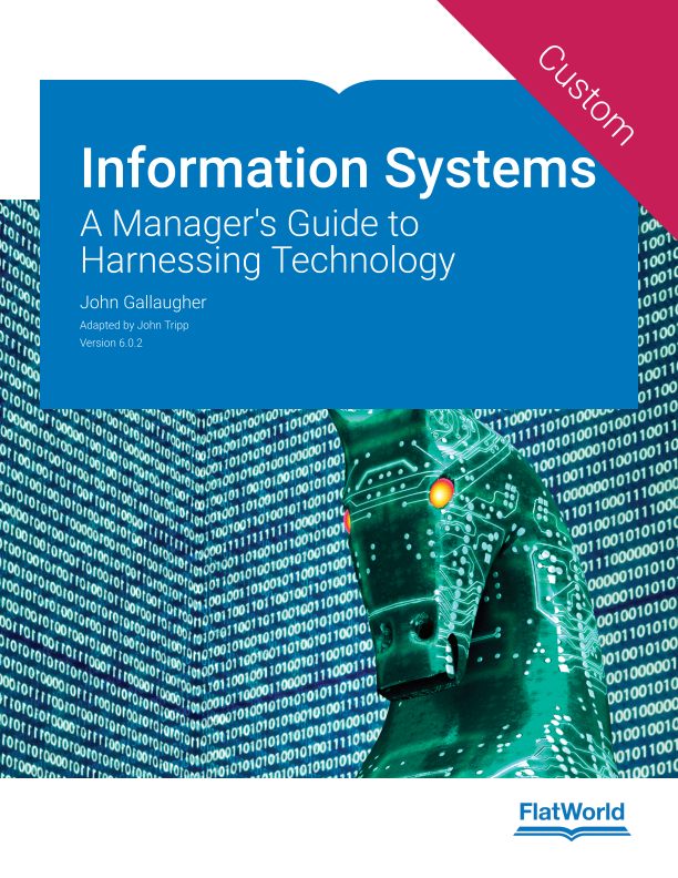 Information Systems