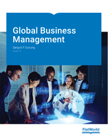 Cover of Global Business Management v2.0