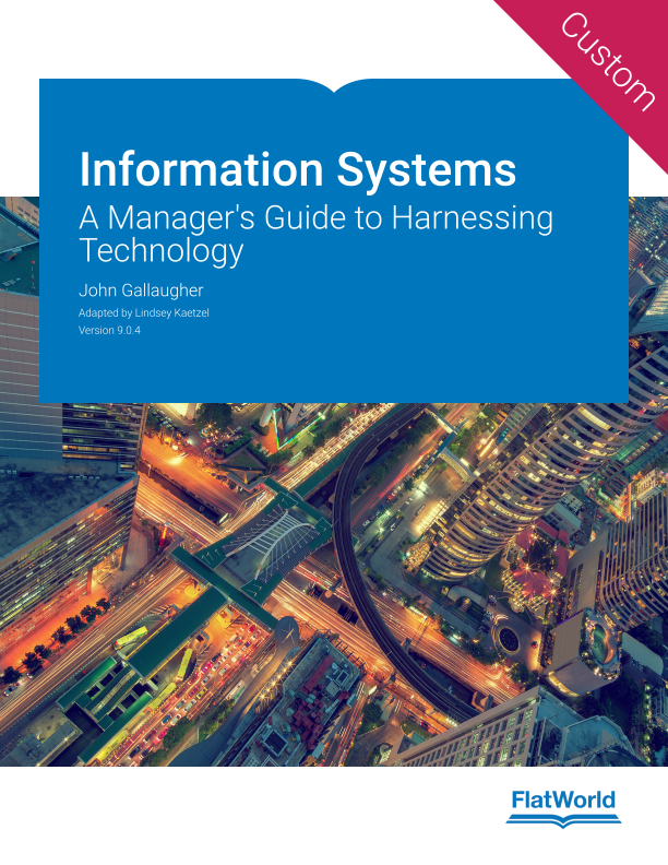 Information Systems