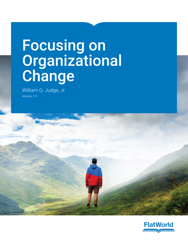 Cover of Focusing on Organizational Change v1.0