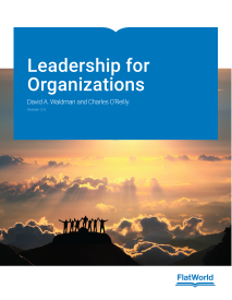 Cover of Leadership for Organizations v2.0