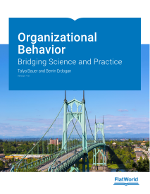Organizational Behavior 