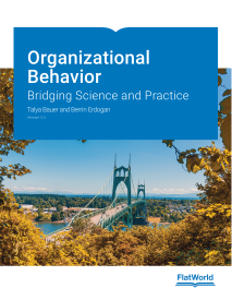 Cover of Organizational Behavior: Bridging Science and Practice v5.0