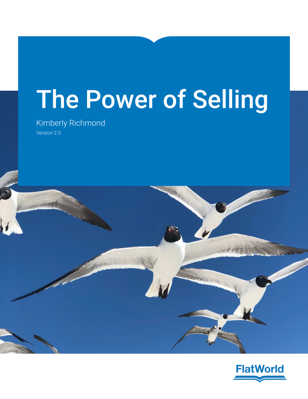 Cover of The Power of Selling v2.0