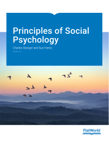 Cover of Principles of Social Psychology v3.0